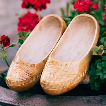 Сasa de vacaciones Les Madreñes *